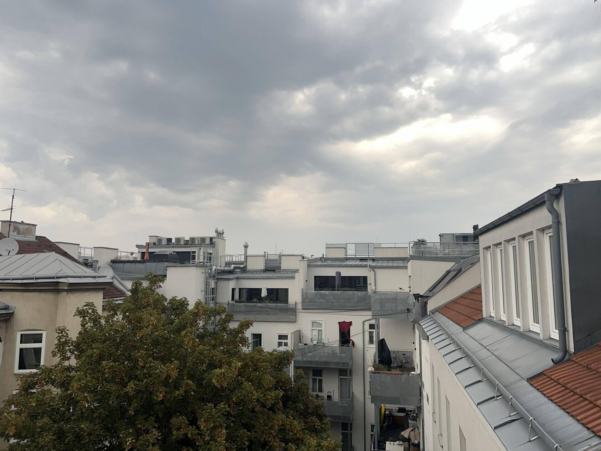 Ausblick