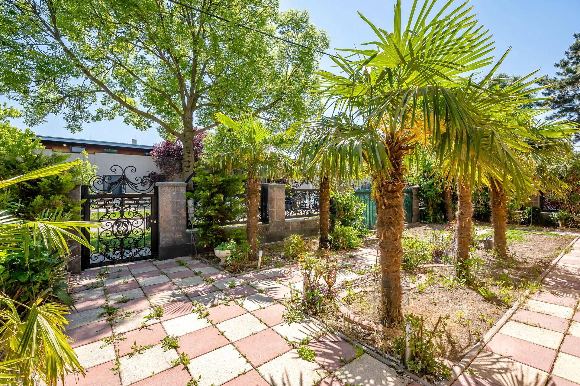 Seitlicher Gartenweg mit Palmen und einem dekorativen schmiedeeisernen Tor.