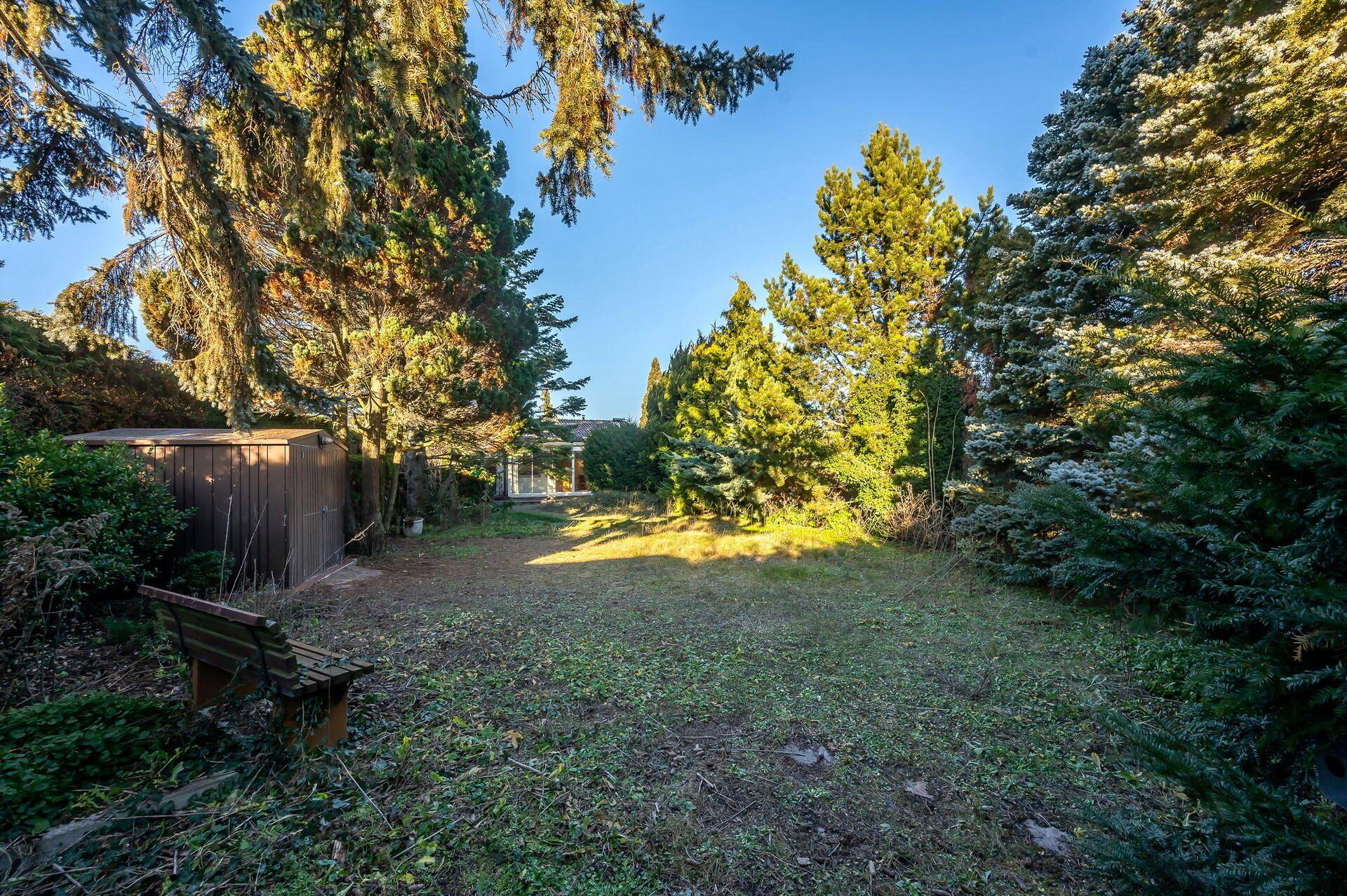 Gepflegter Garten mit viel Grün, hohen Bäumen und einer Sitzbank, bietet viel Privatsphäre.
