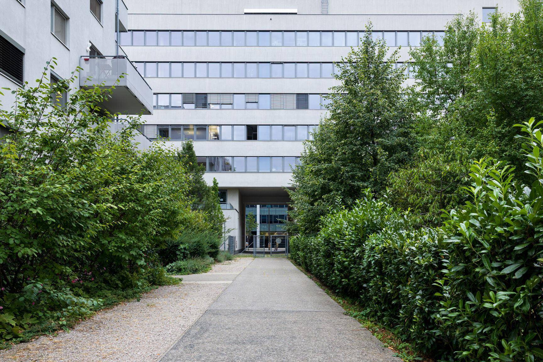 Grüner Weg führt zu einem modernen Gebäude, umgeben von dichtem Buschwerk und Bäumen.