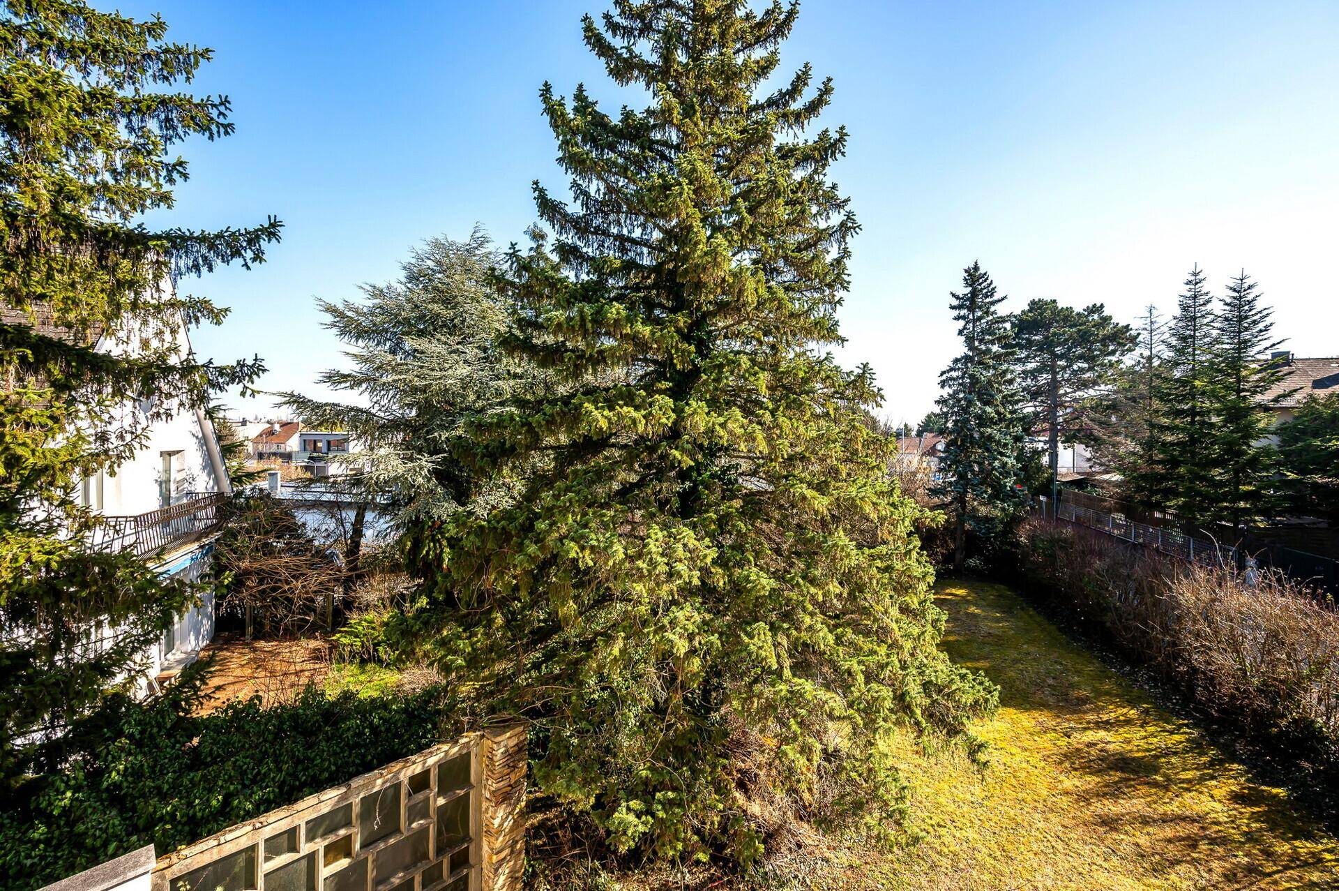 Weitläufiger Blick aus dem Fenster auf den Garten und die umliegende Wohngegend.