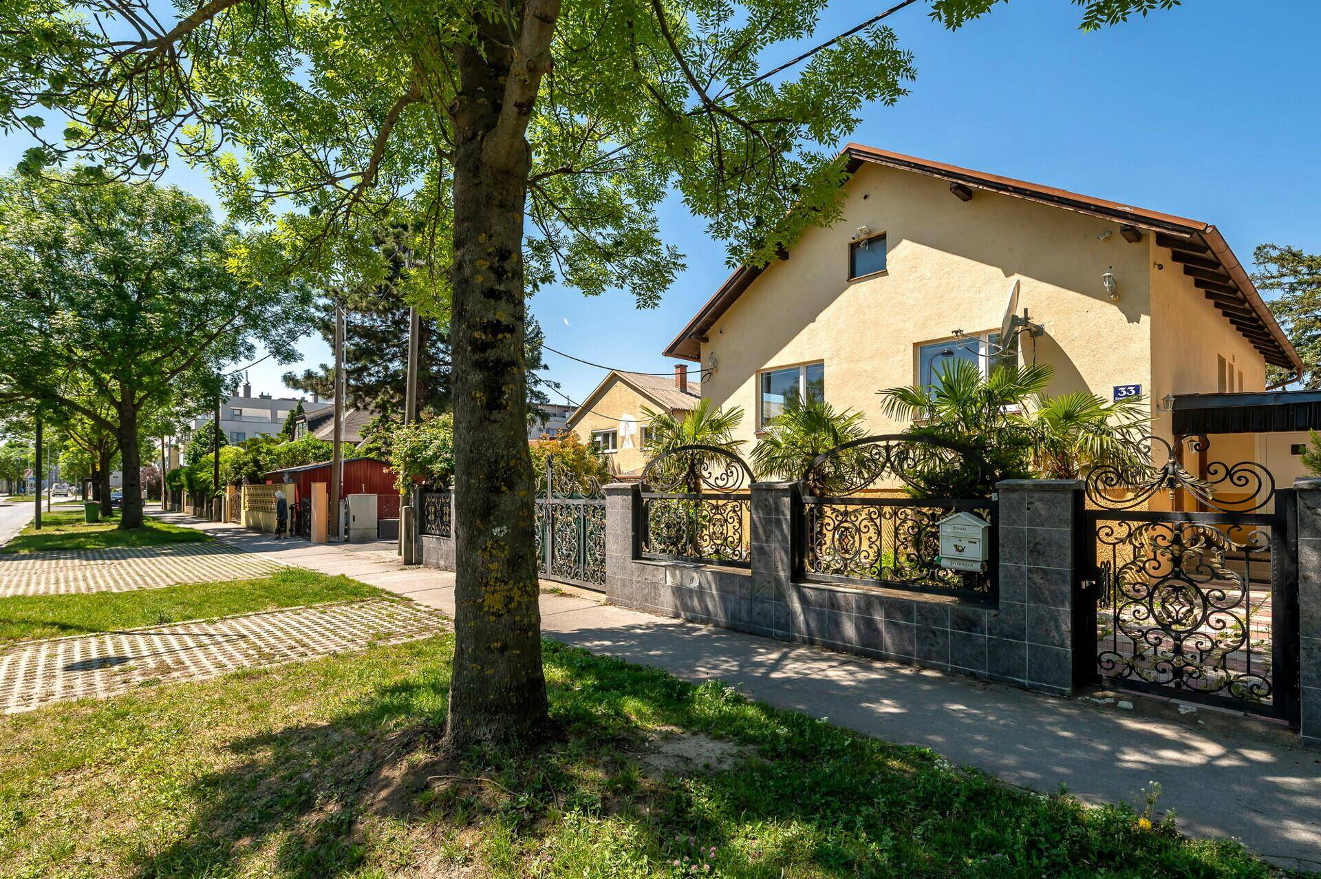 Straßenansicht des Hauses mit Palmen, schmiedeeisernem Zaun und Bäumen entlang der Straße.