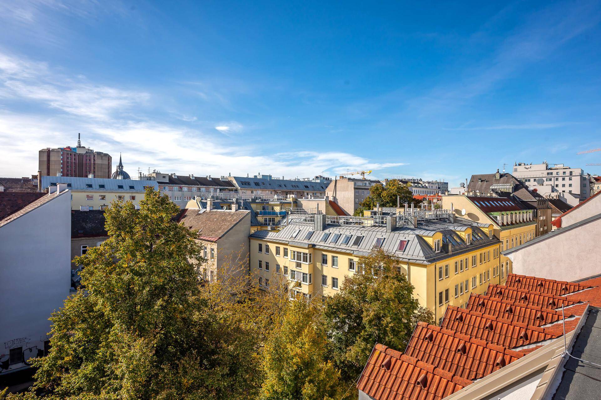 Weitläufiger Blick über die Dächer der Stadt mit vielen Bäumen und Gebäuden.