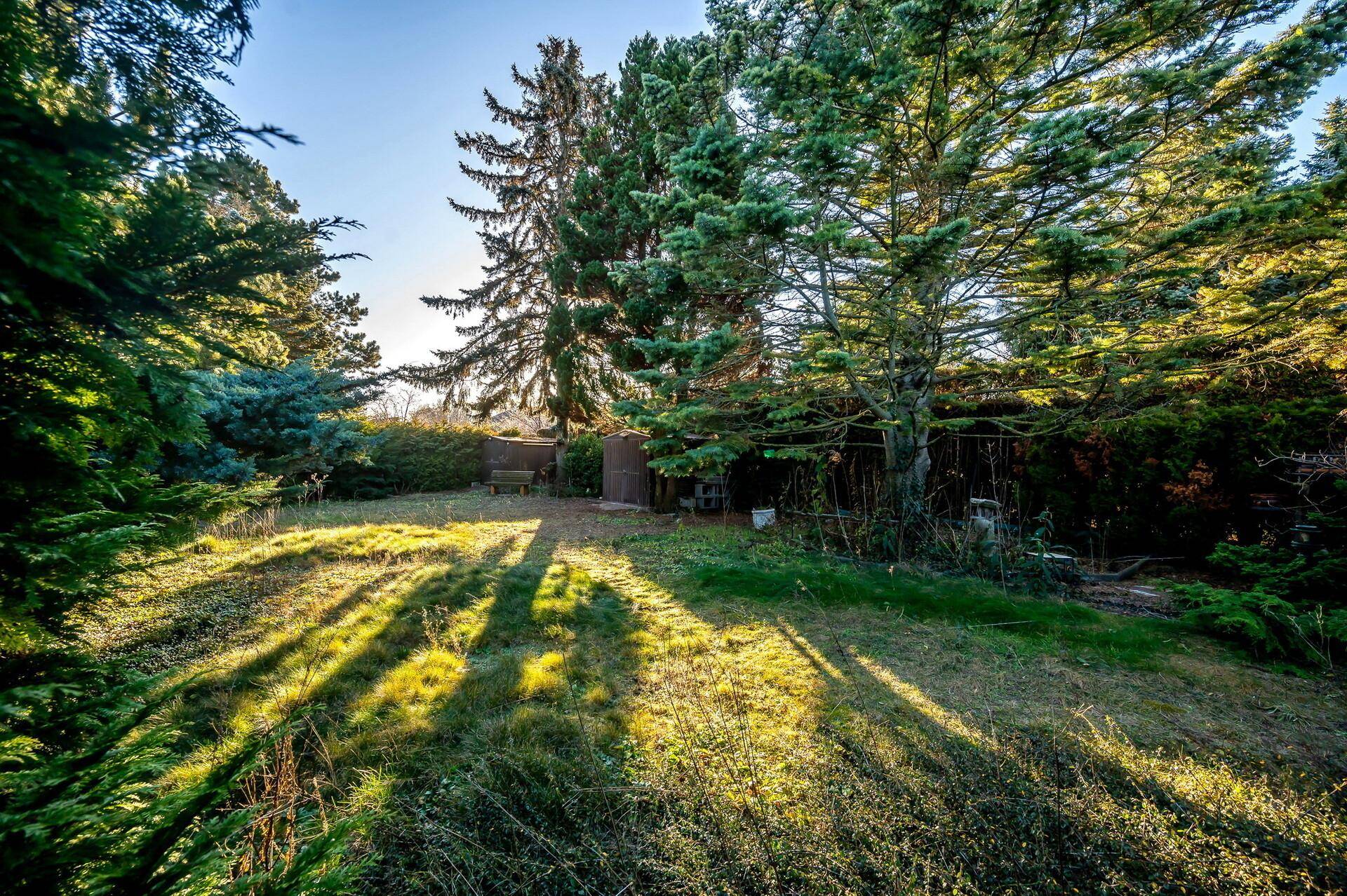 Großer, sonniger Garten mit Rasenfläche, hohen Bäumen und einem Gartenhaus.
