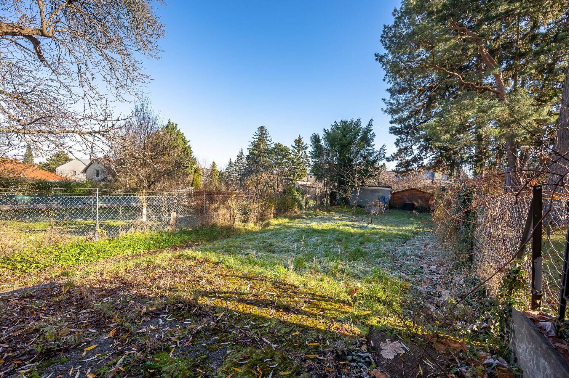 Weitläufiger Garten mit Rasenfläche, umzäunt und umgeben von Bäumen unter klarem, blauem Himmel.