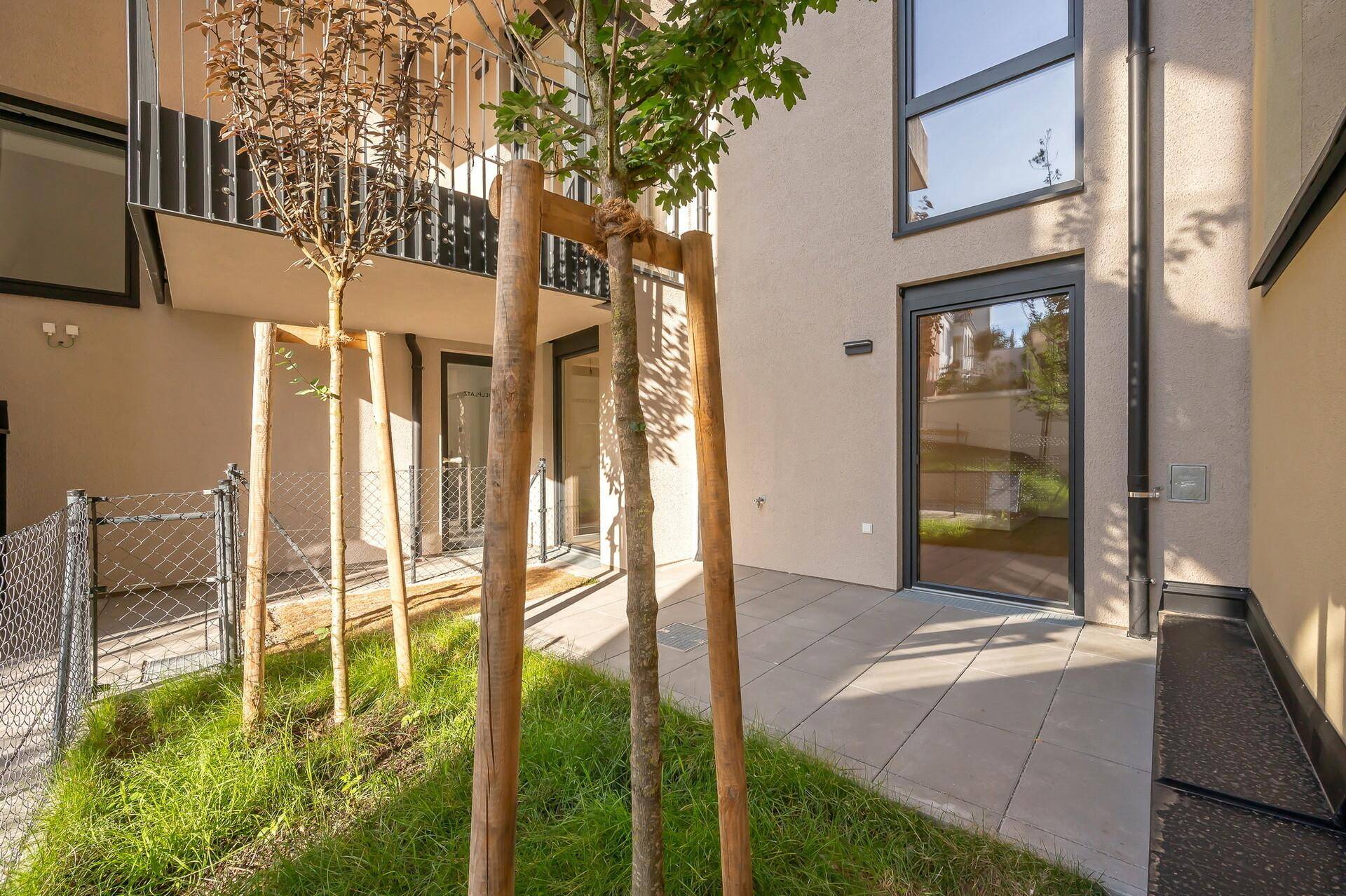Helle Erdgeschossterrasse mit jungem Baum und direktem Zugang zur Wohnung.