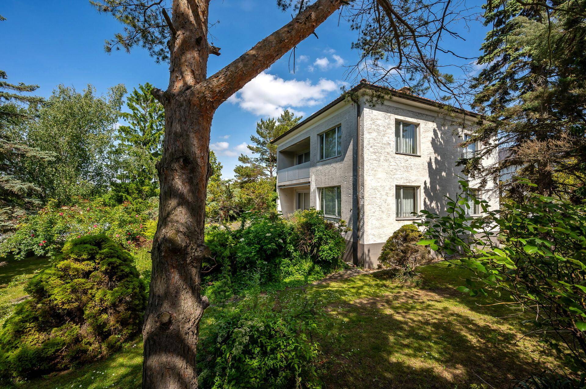 Haus