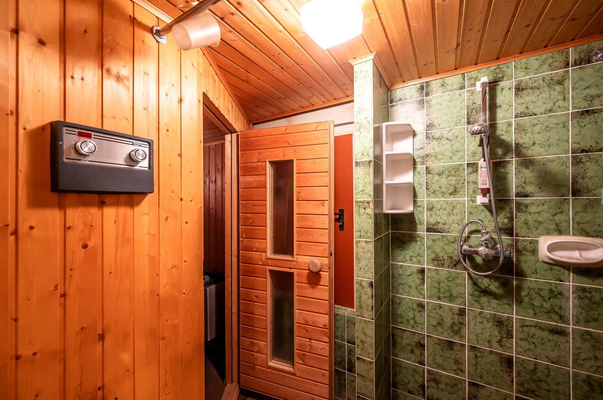 Badezimmer mit Duschbereich und direktem Zugang zu einer holzvertäfelten Sauna.