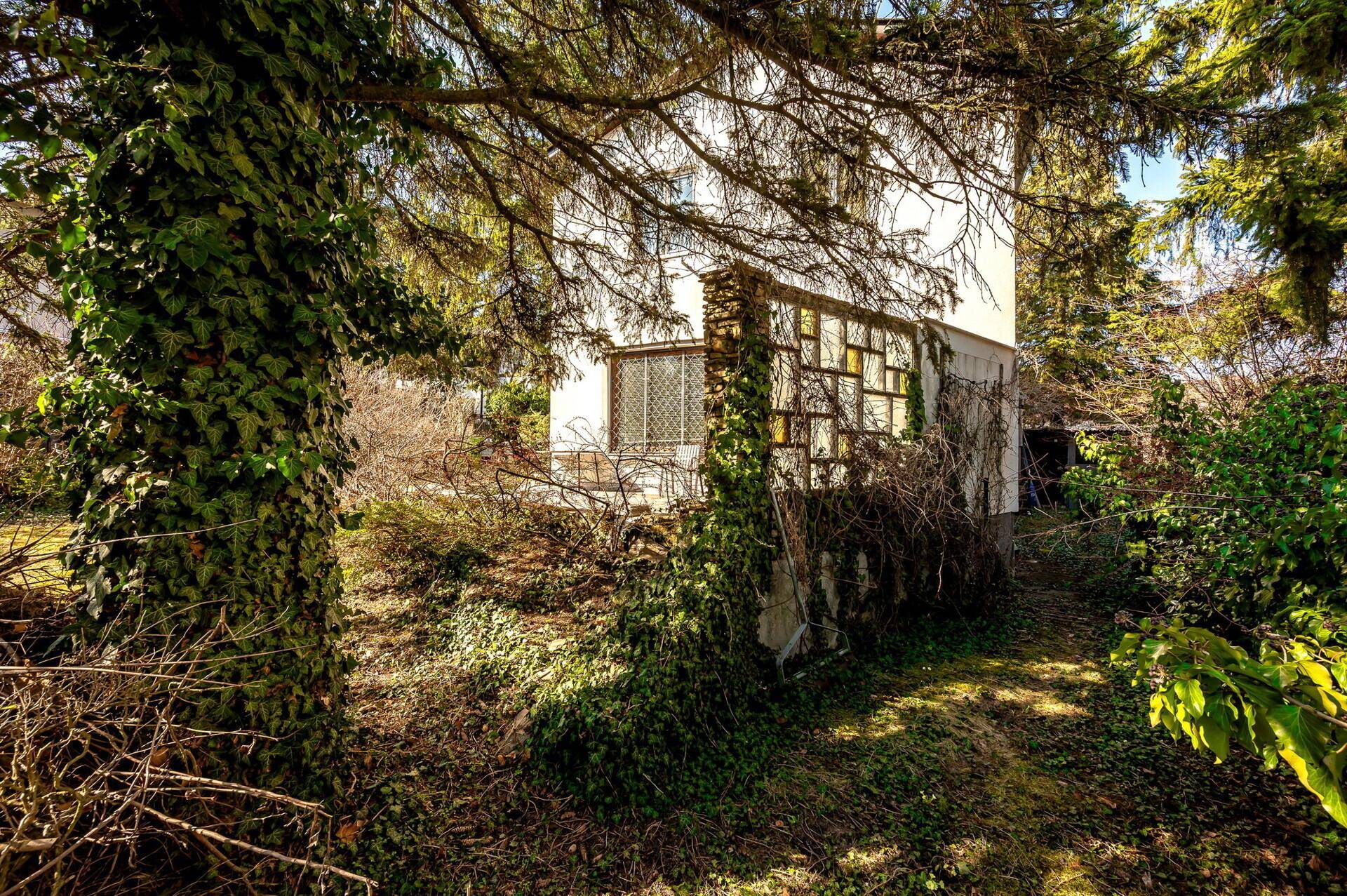 Seitenansicht eines Hauses, teilweise von dichtem Efeu und Bäumen umgeben, mit viel Grün.
