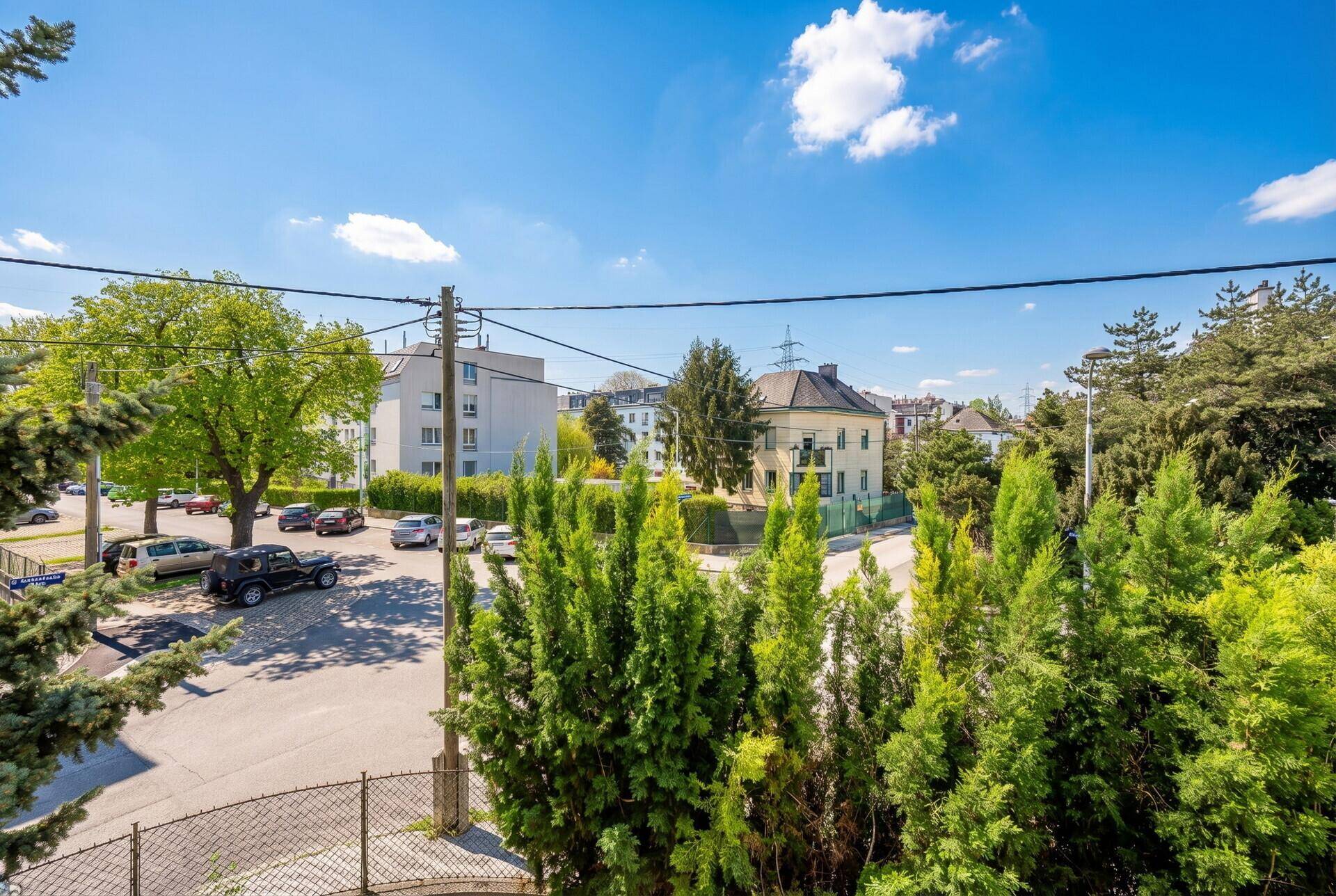 Blick auf die umliegende Nachbarschaft mit Straßen, Autos und Wohngebäuden.