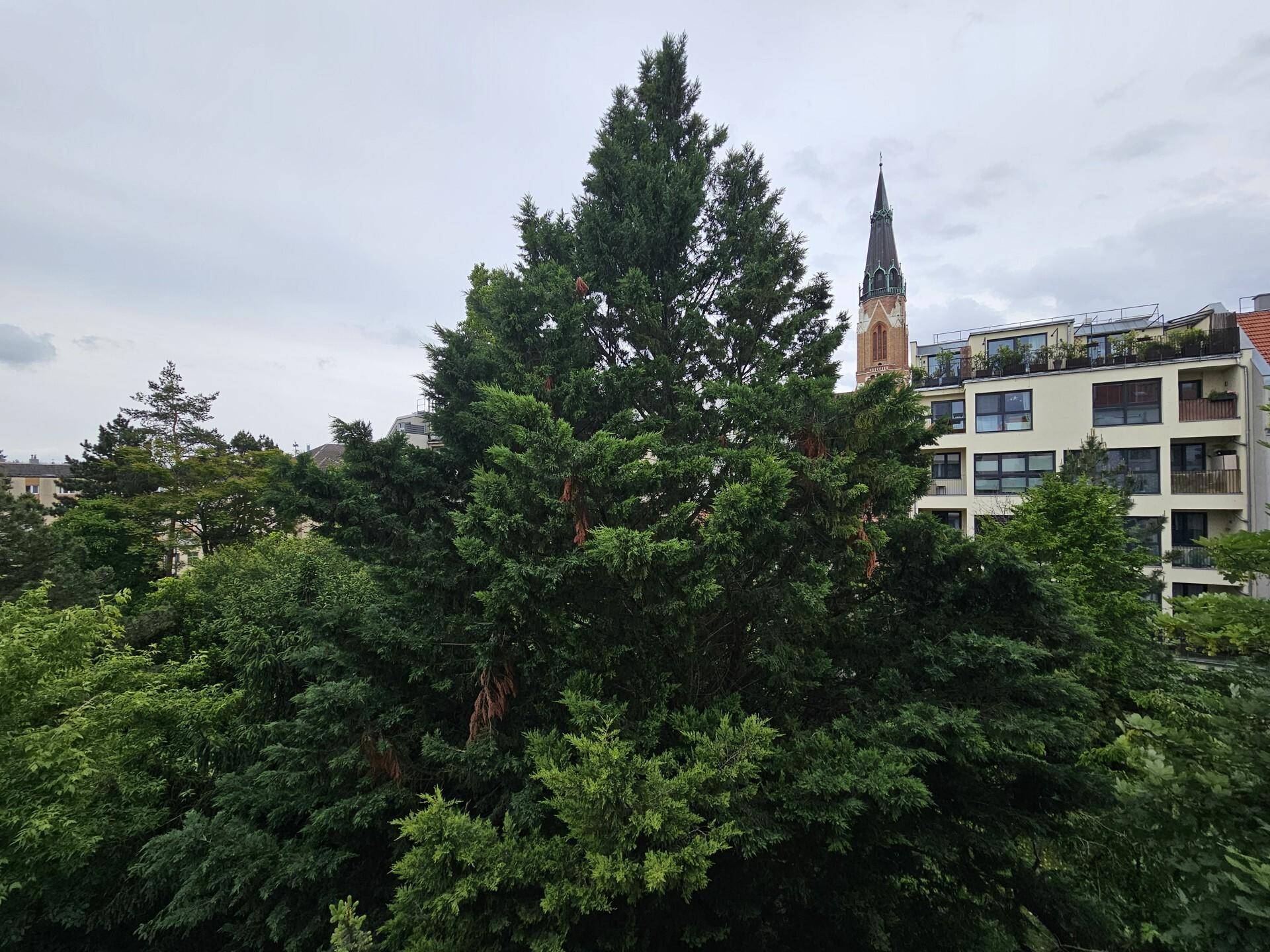 Grünblick