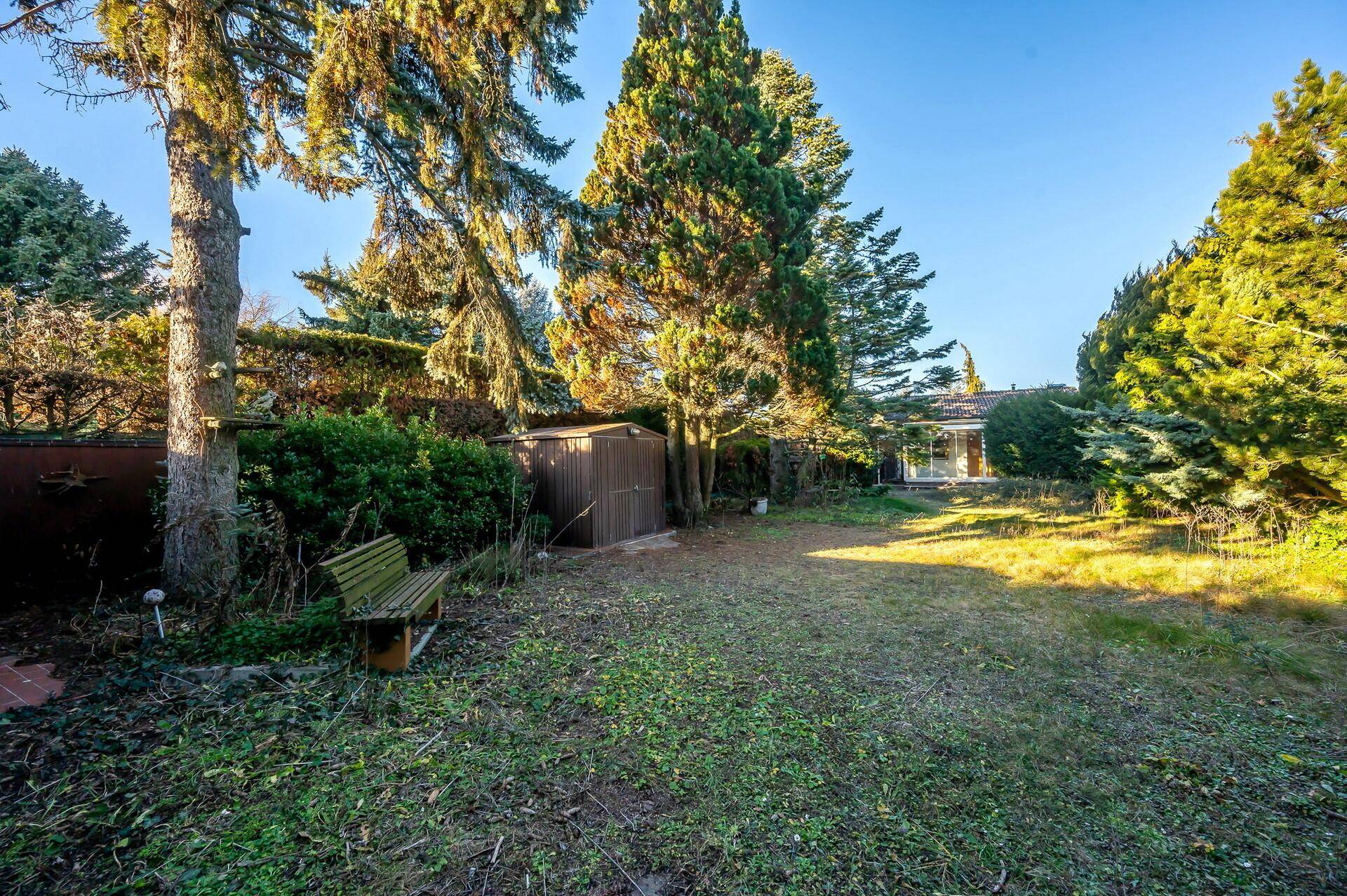 Weitläufiger Garten mit Rasen, alten Bäumen und einer Holzbank, ideal zum Entspannen.