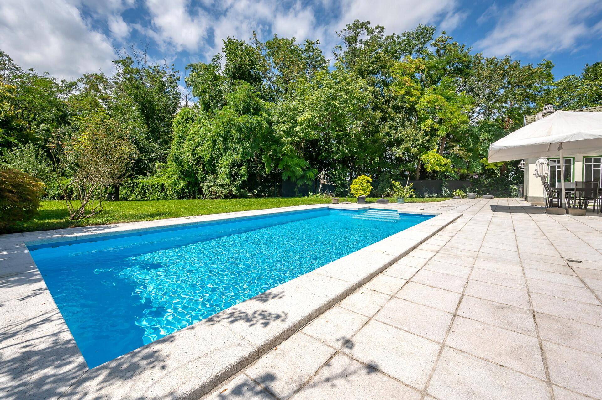 Langer Swimmingpool mit gepflasterter Terrasse und üppiger Bepflanzung.