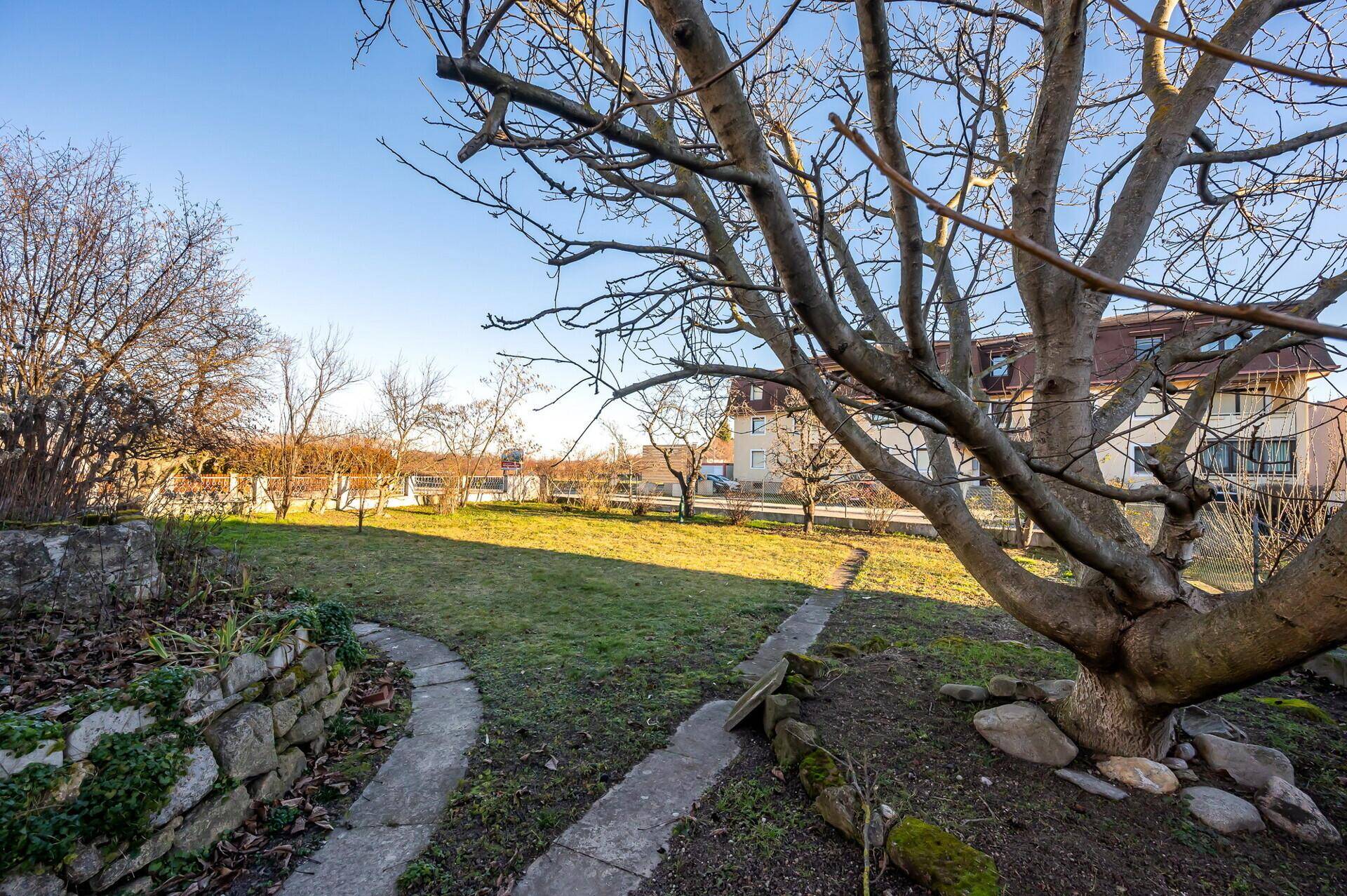Gartenansicht mit geschwungenem Weg, einer Steinmauer und alten Bäumen unter blauem Himmel.