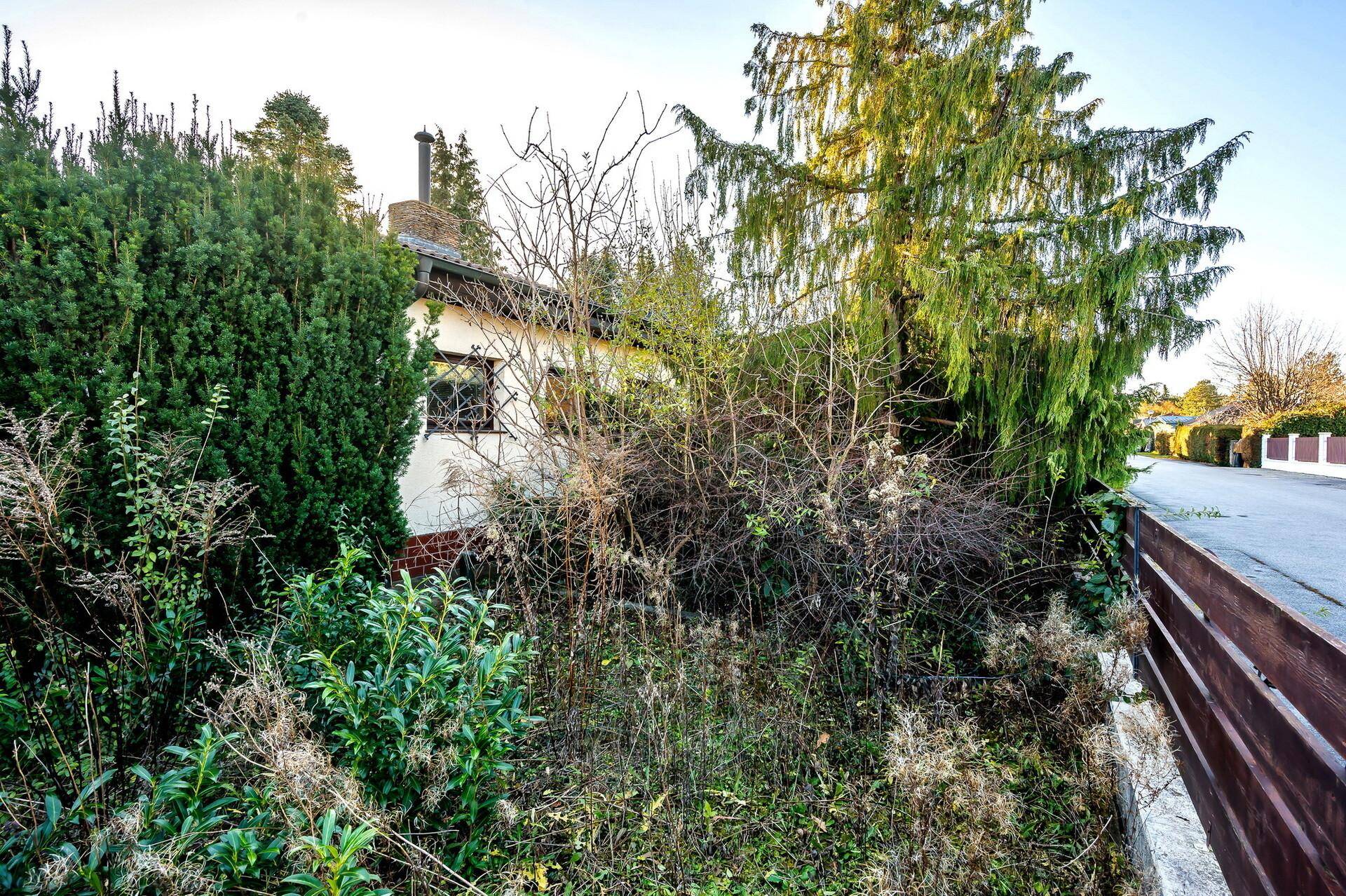 Seitenansicht des Hauses, umgeben von dichter Vegetation und angrenzend an eine Straße.