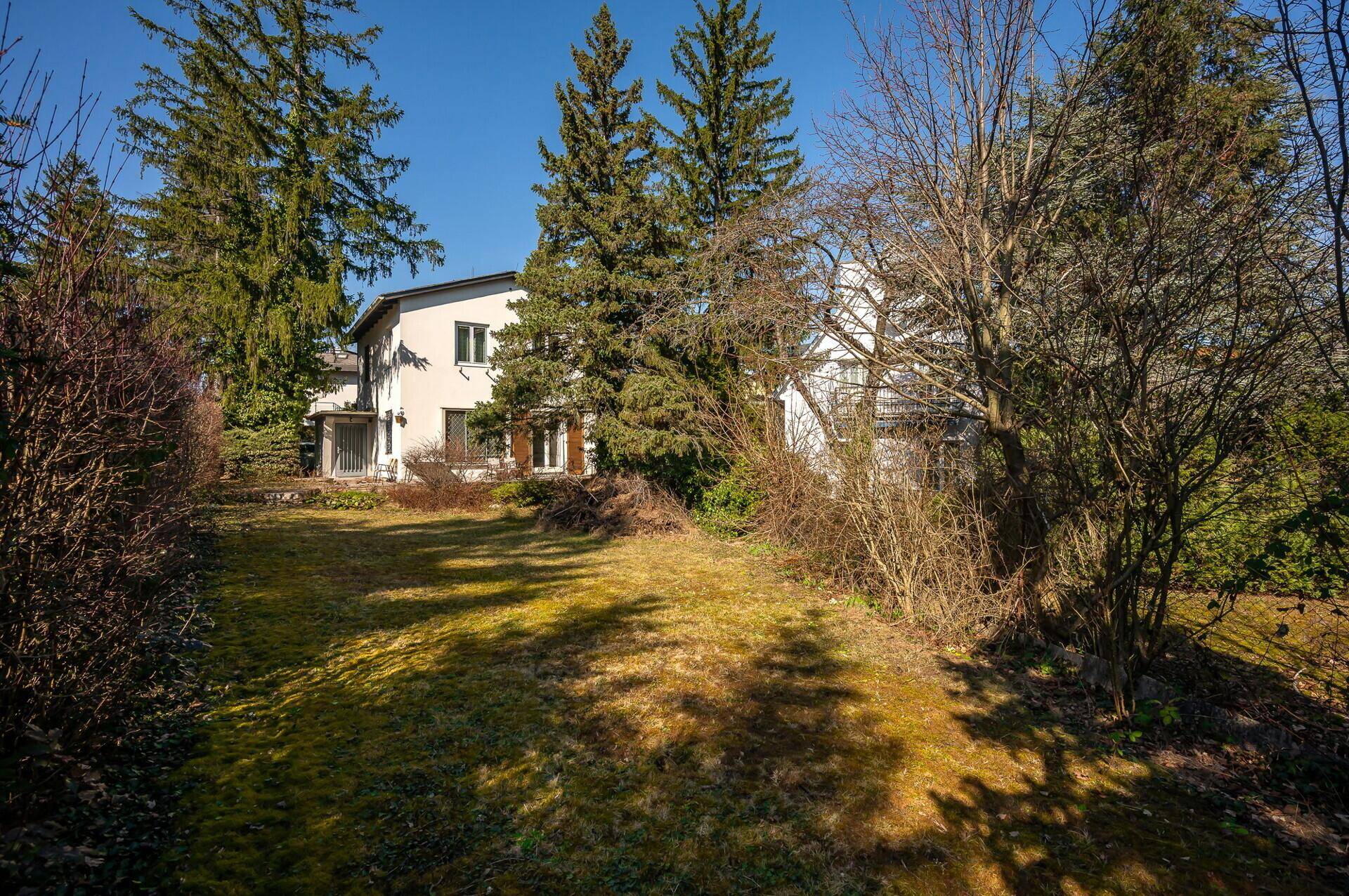 Weitläufiger Gartenbereich mit Rasenfläche und hohen Nadelbäumen, der das Haus umgibt.