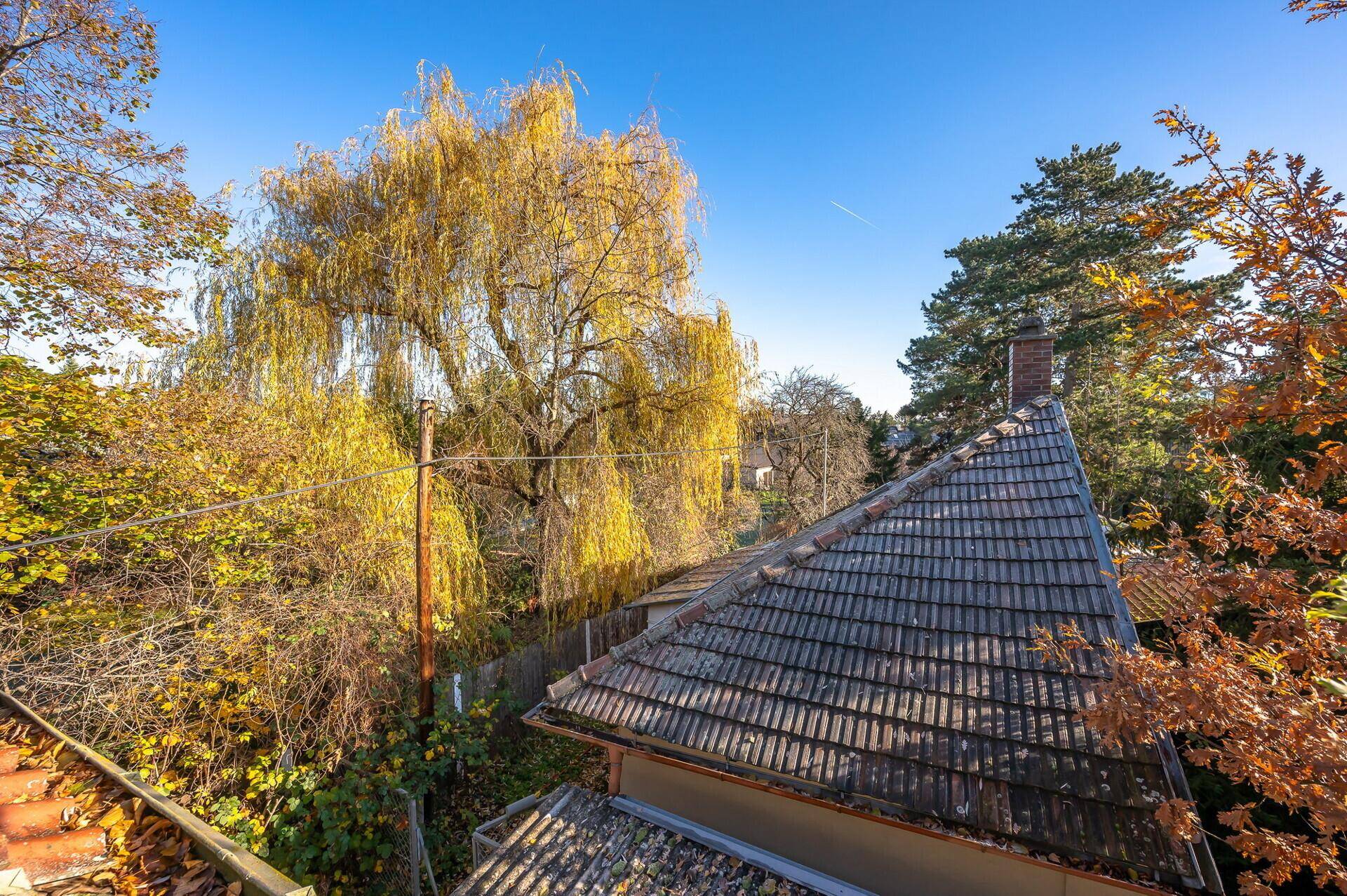 Dach des Hauses mit Ziegeln, umgeben von herbstlichen Bäumen unter blauem Himmel.