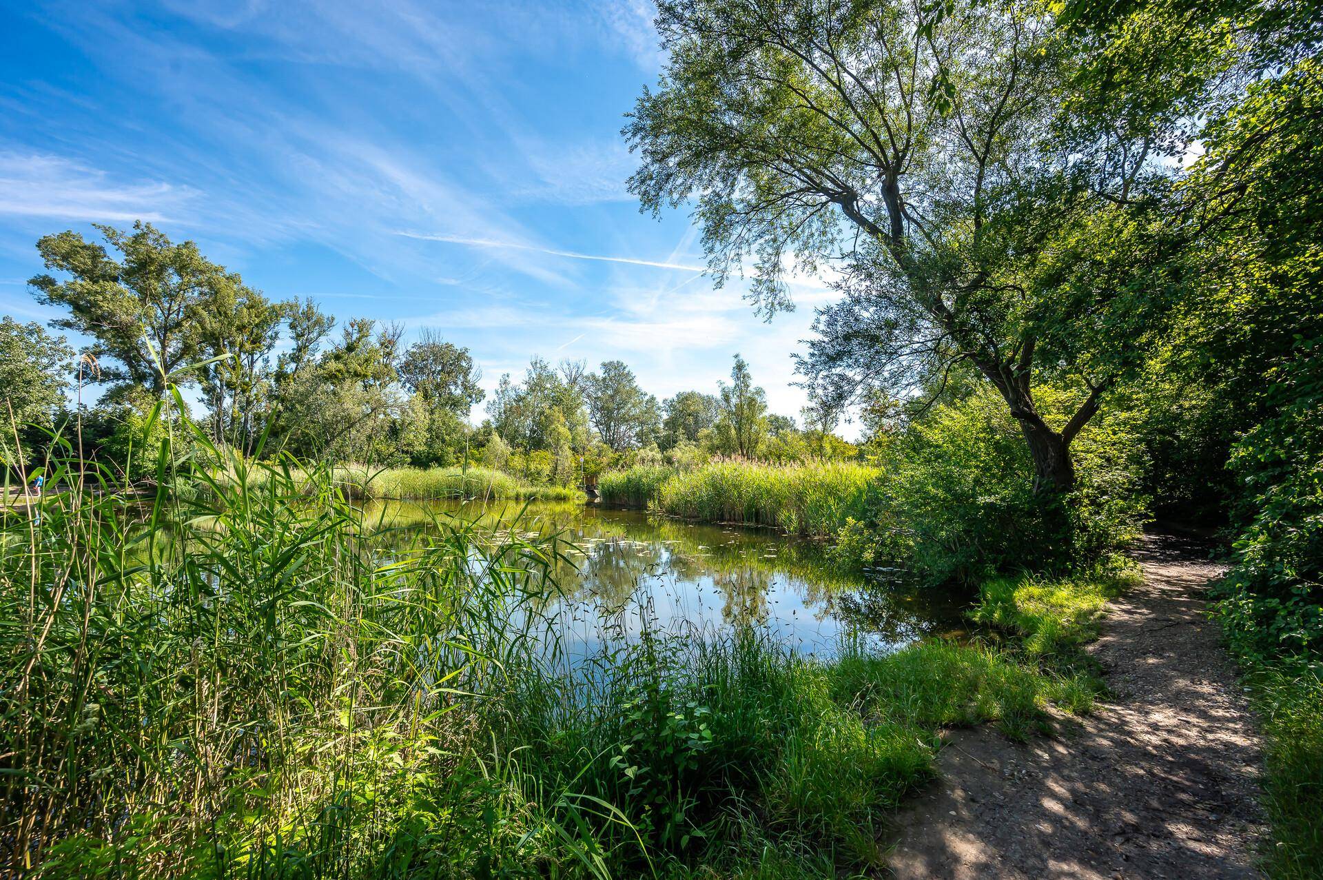 Mühlwasser