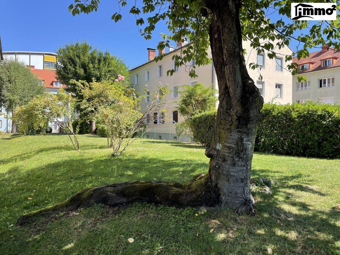 Grüne Gartenanlage mit altem Baum und Blick auf die umliegenden Wohngebäude an einem sonnigen Tag.