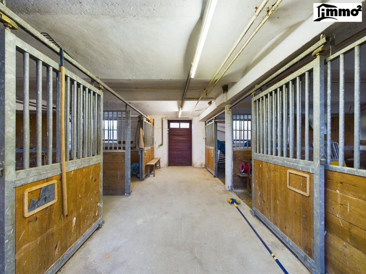 Geräumiger Stallbereich mit mehreren Boxen und Betonboden, ideal für Tierhaltung.