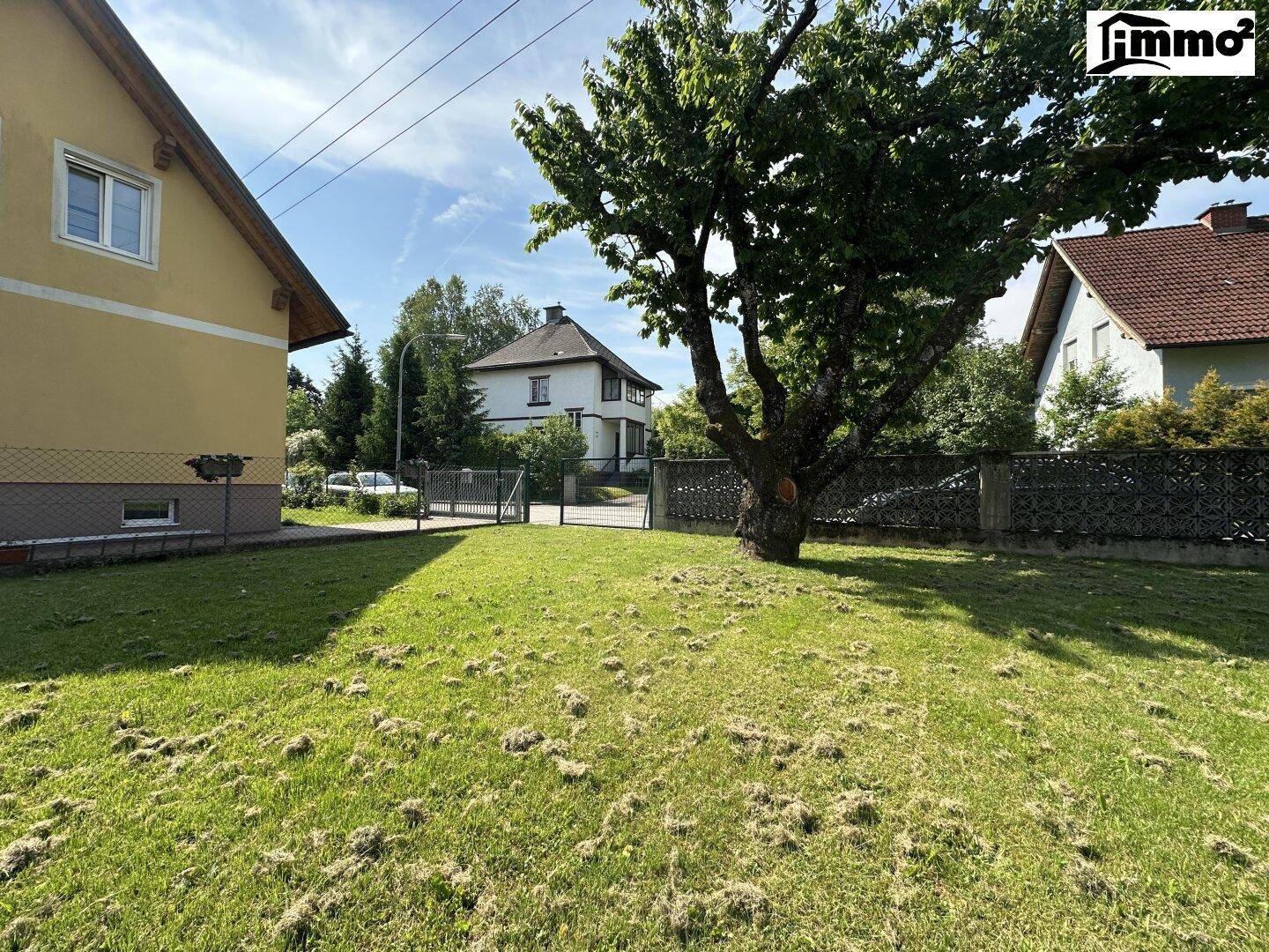 Sonniger Garten mit Rasenfläche und großem Baum, angrenzend an ein Wohnhaus und eine Zufahrt.