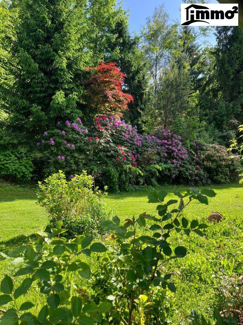 Farbenprächtiger Garten mit üppiger Vegetation, blühenden Sträuchern und hohen Bäumen.
