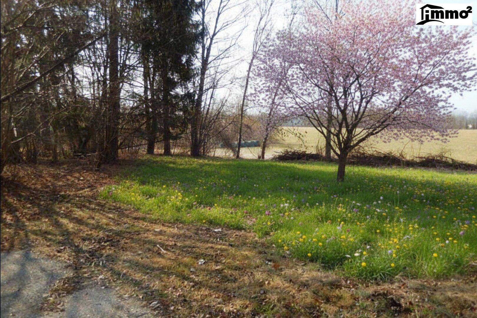 Baugrundstück mit wunderschöner Aussicht! - Ansicht 3