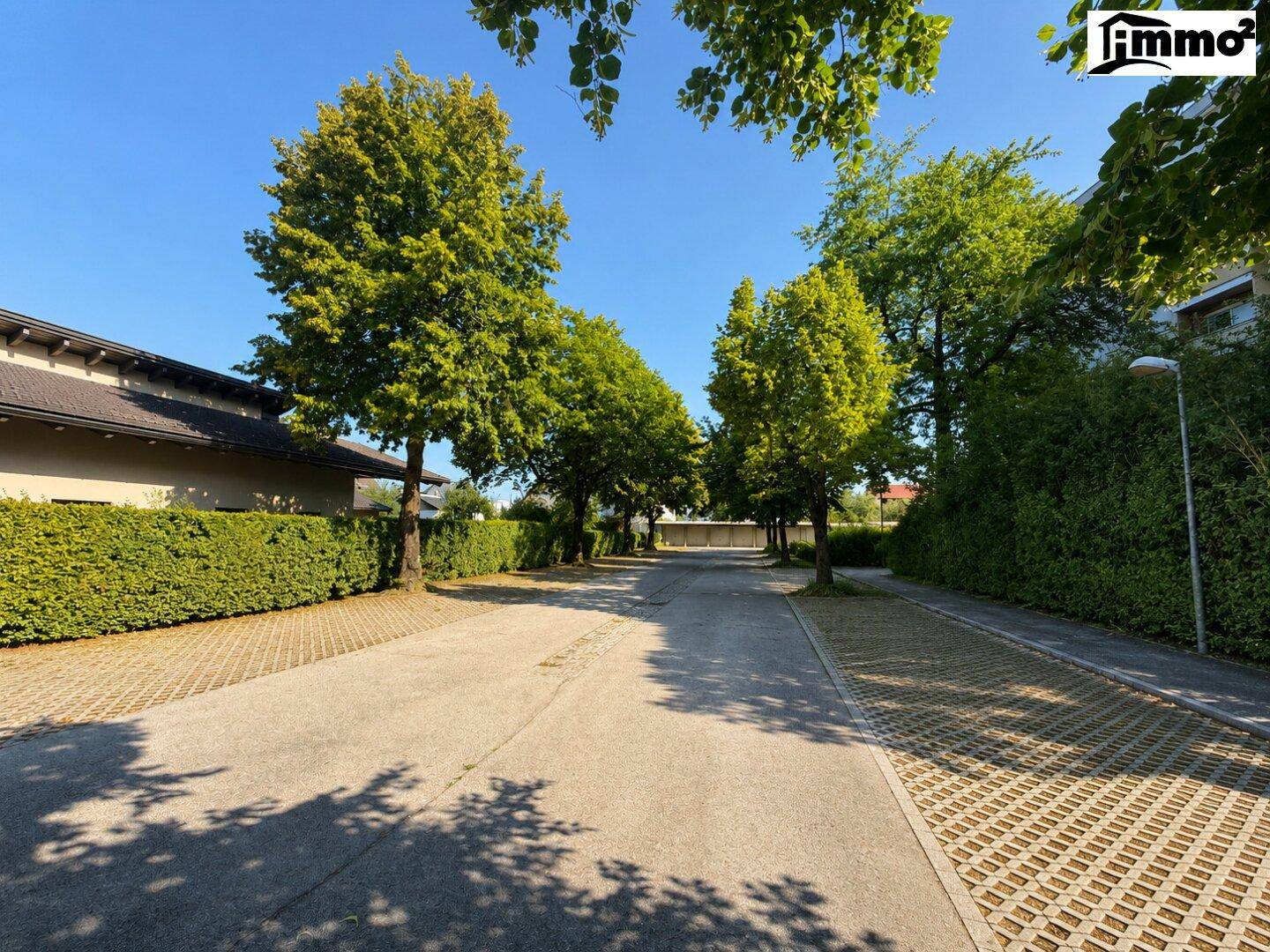 Ruhige Wohnstraße mit Bäumen und gepflegten Hecken unter blauem Himmel.
