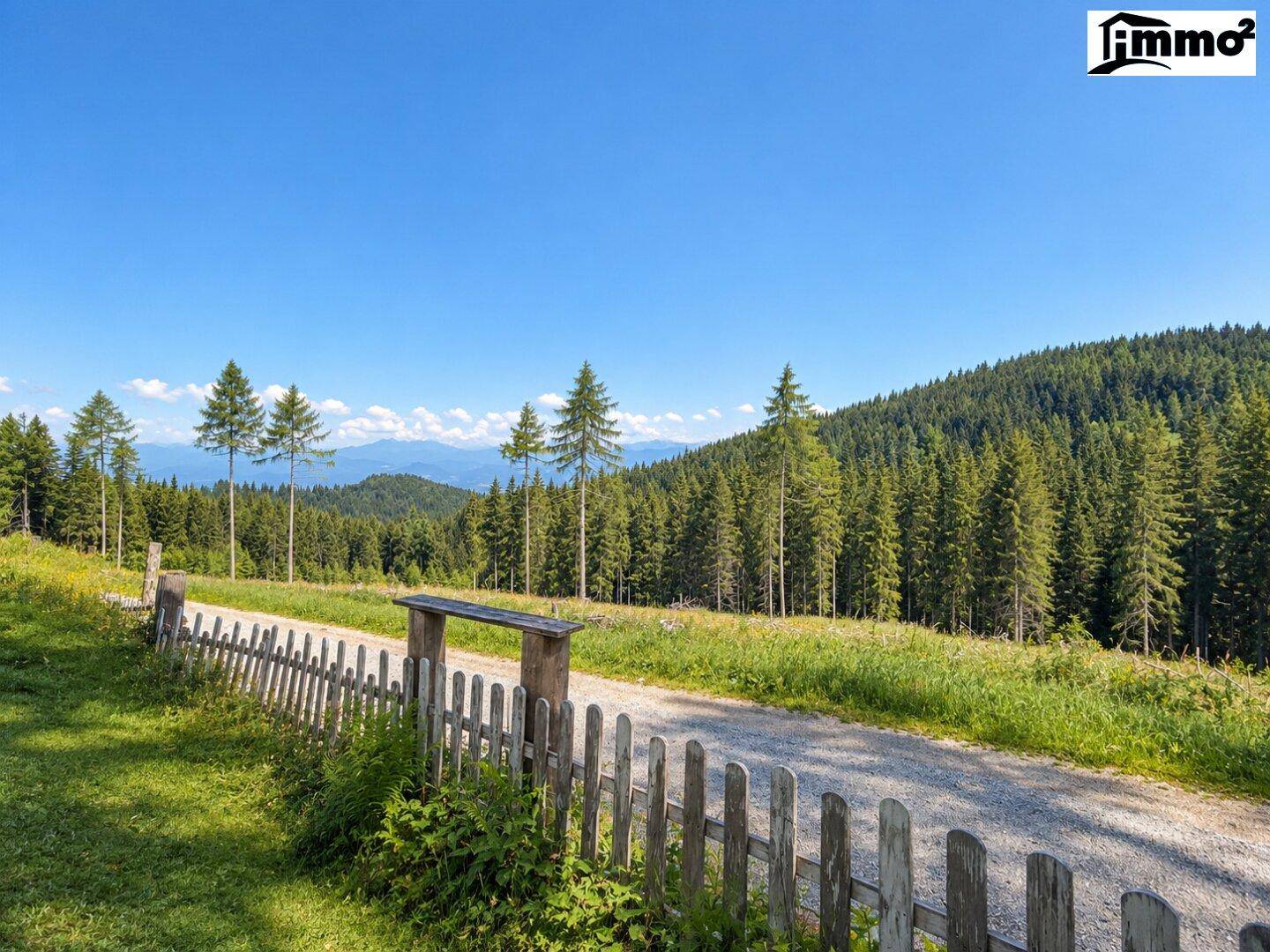 Malerische Berglandschaft mit weiten Wäldern und einem Feldweg unter blauem Himmel.