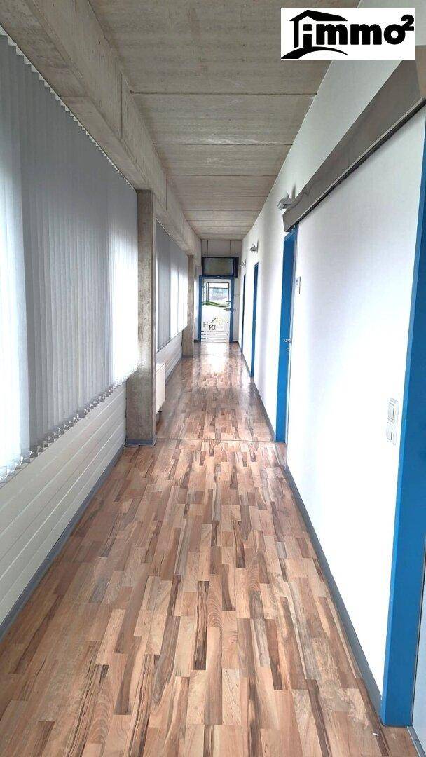 Langer Flur mit Holzfußboden, weißen Wänden und blauen Türen, der zu weiteren Räumen führt.