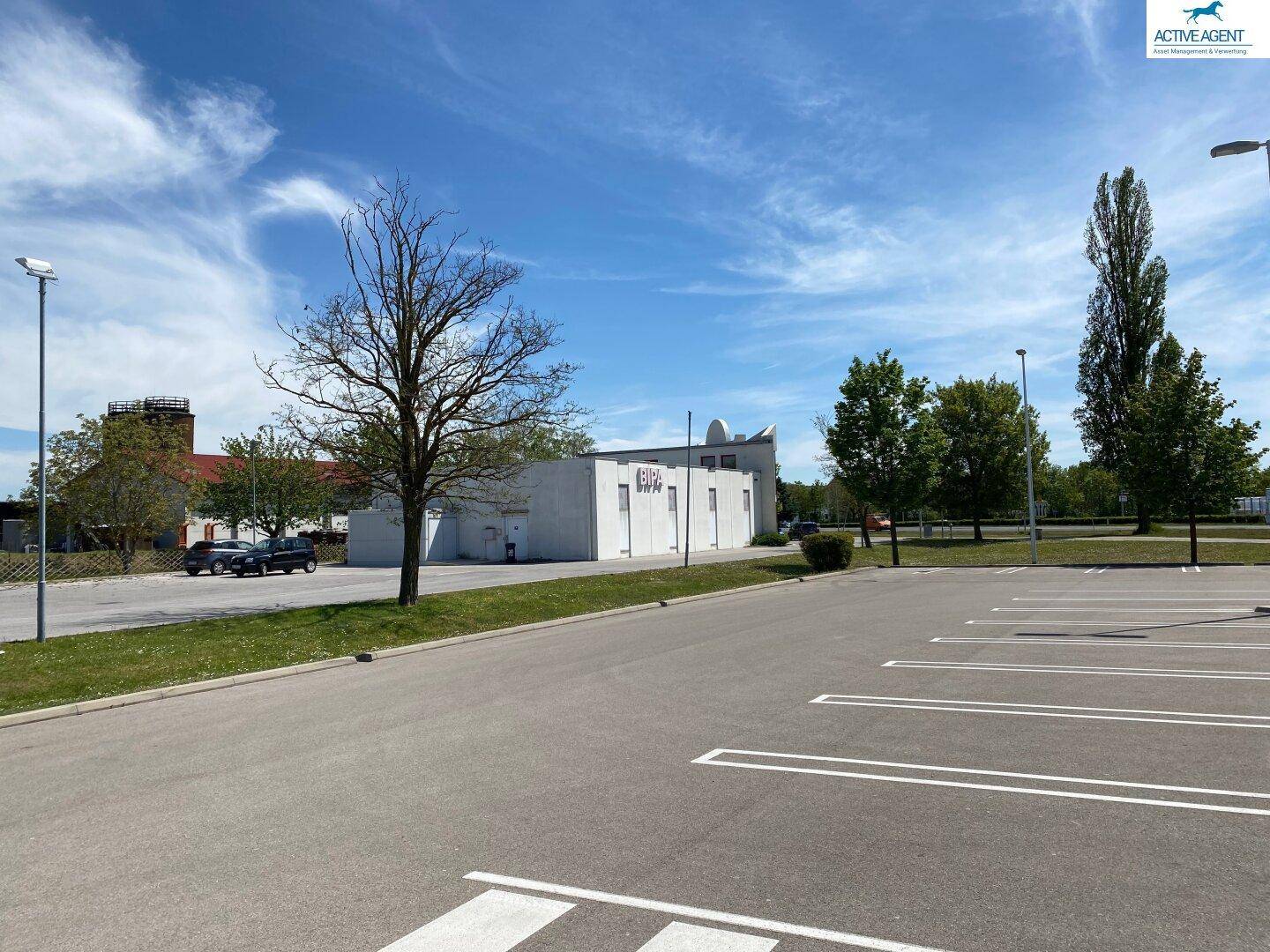 Weitläufiger Parkplatz mit dem Geschäftsgebäude im Hintergrund und hohen Bäumen.
