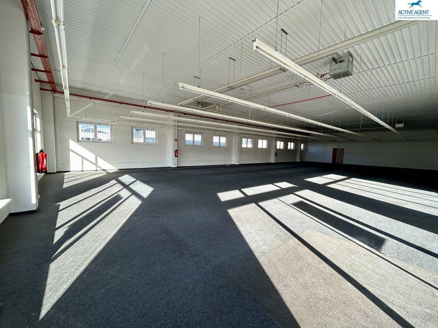Geräumiger, leerer Gewerberaum mit dunklem Teppichboden, hohen Decken und vielen Fenstern, die Tageslicht hereinlassen.