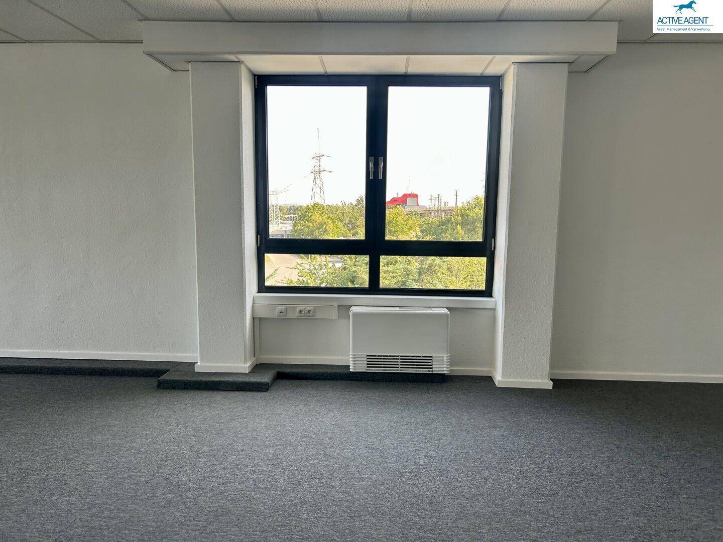 Einzelnes großes Fenster in einem leeren Büroraum mit grauem Teppichboden und weiß gestrichenen Wänden.