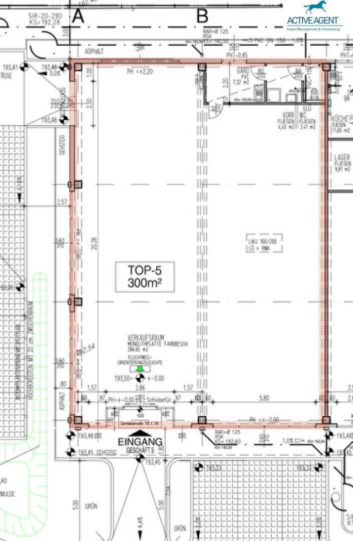 Grundrissplan für eine Gewerbefläche "TOP-5" mit 300m², inklusive Verkaufsraum, Küche und WC.