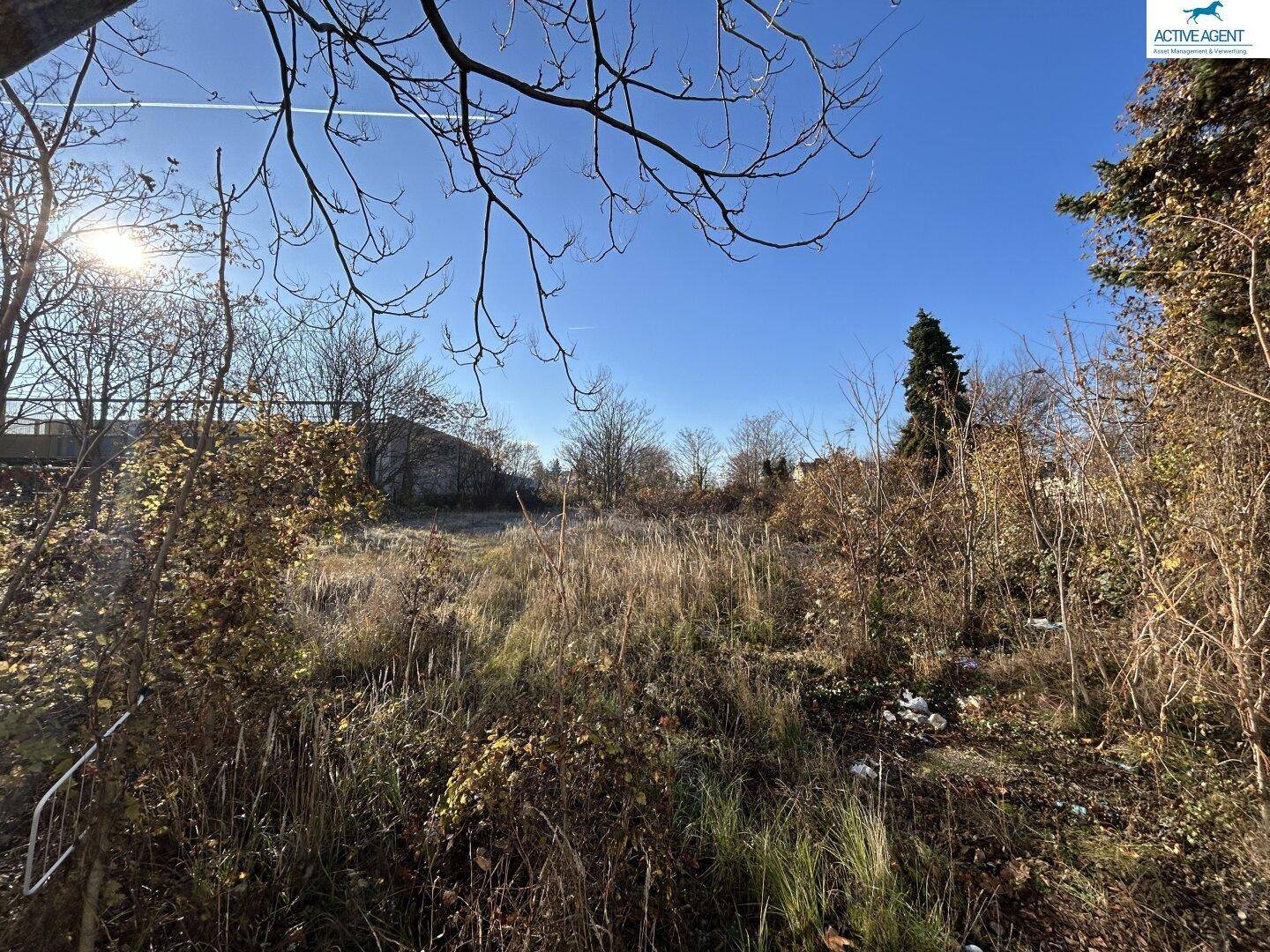 Unbebautes Grundstück mit trockener Vegetation und Bäumen unter einem klaren blauen Himmel.