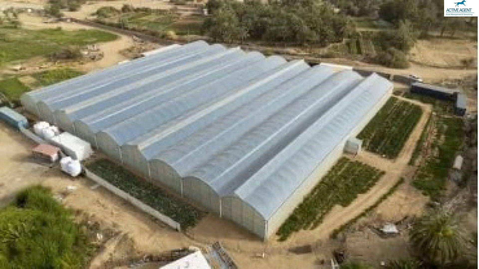 Luftbild einer großen Gewächshausanlage umgeben von landwirtschaftlichen Flächen.