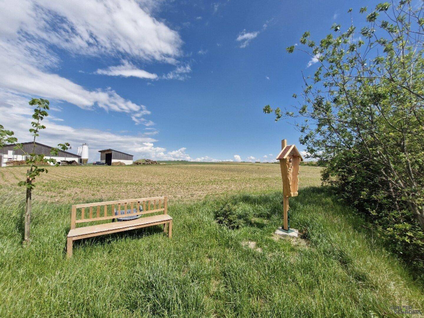 Eine Holzbank und ein kleiner Schrein stehen auf einer grünen Wiese mit weitem Blick in die Landschaft.