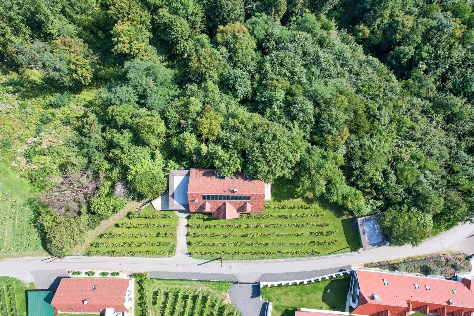DJI_0116