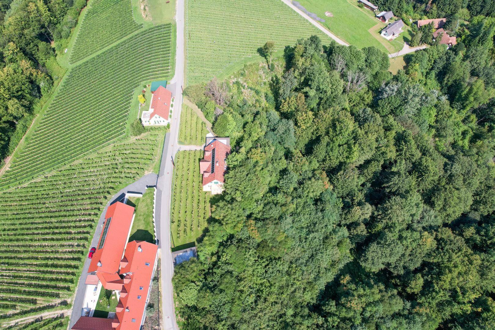 DJI_0124