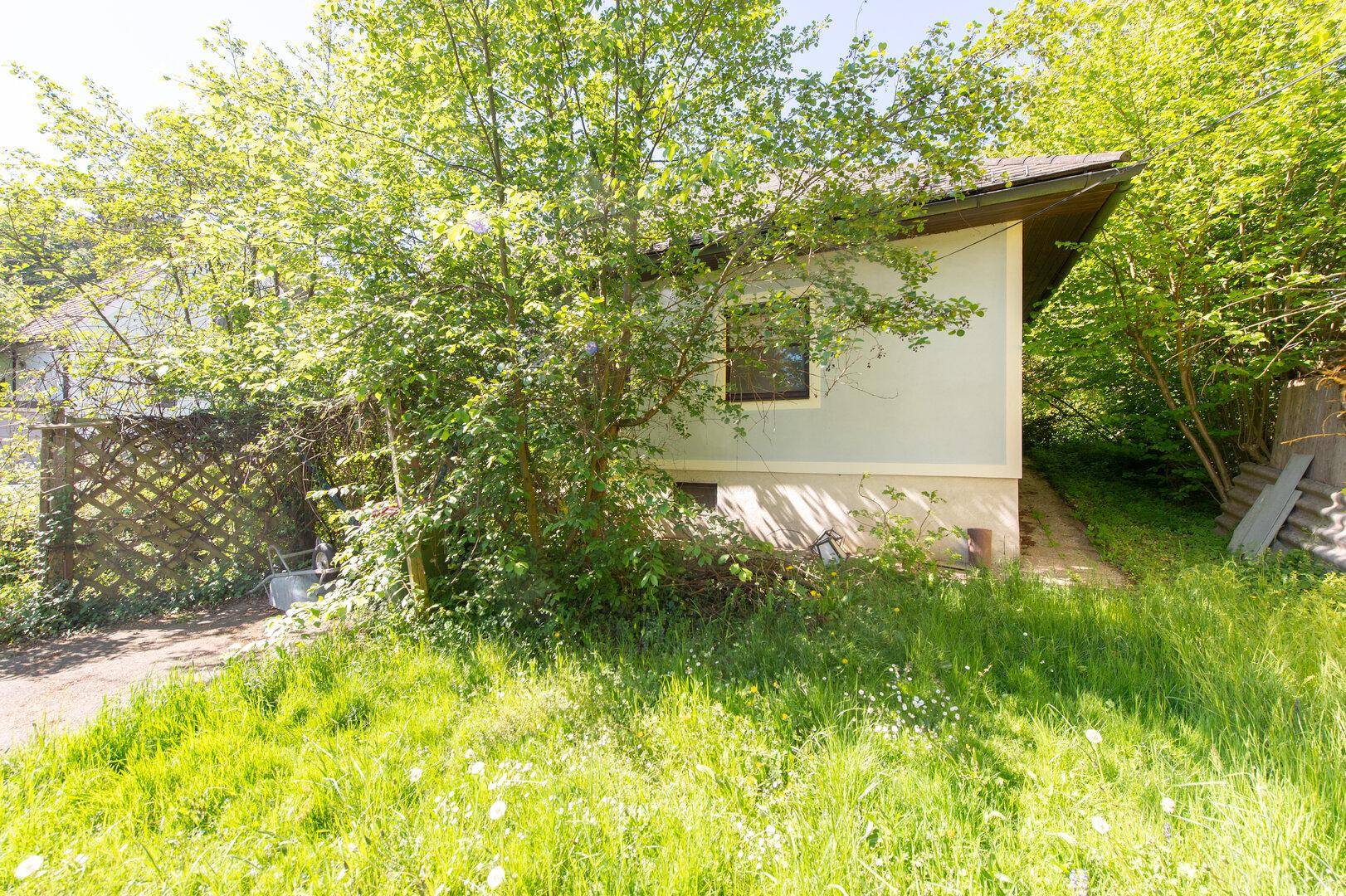 Rückansicht eines Hauses, umgeben von hohem Gras und dichtem Buschwerk.