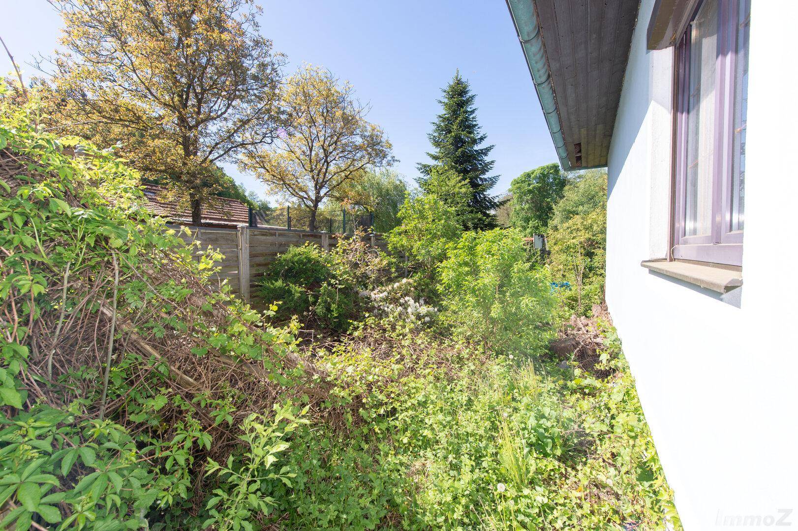 Üppige Vegetation mit Bäumen und Sträuchern, die das Grundstück umgeben.