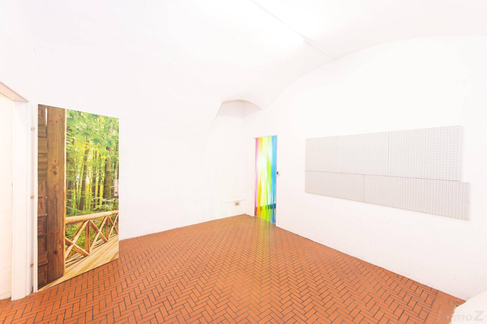 Leerer Raum mit gewölbter Decke und dekorativer Tür, vielseitig nutzbar.