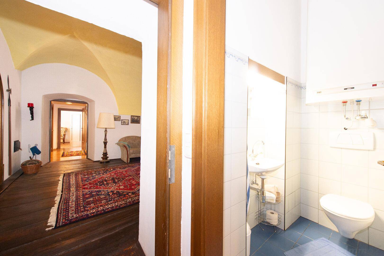 Flur mit dunklem Holzboden, gewölbter Decke und Blick auf eine kleine Gästetoilette.