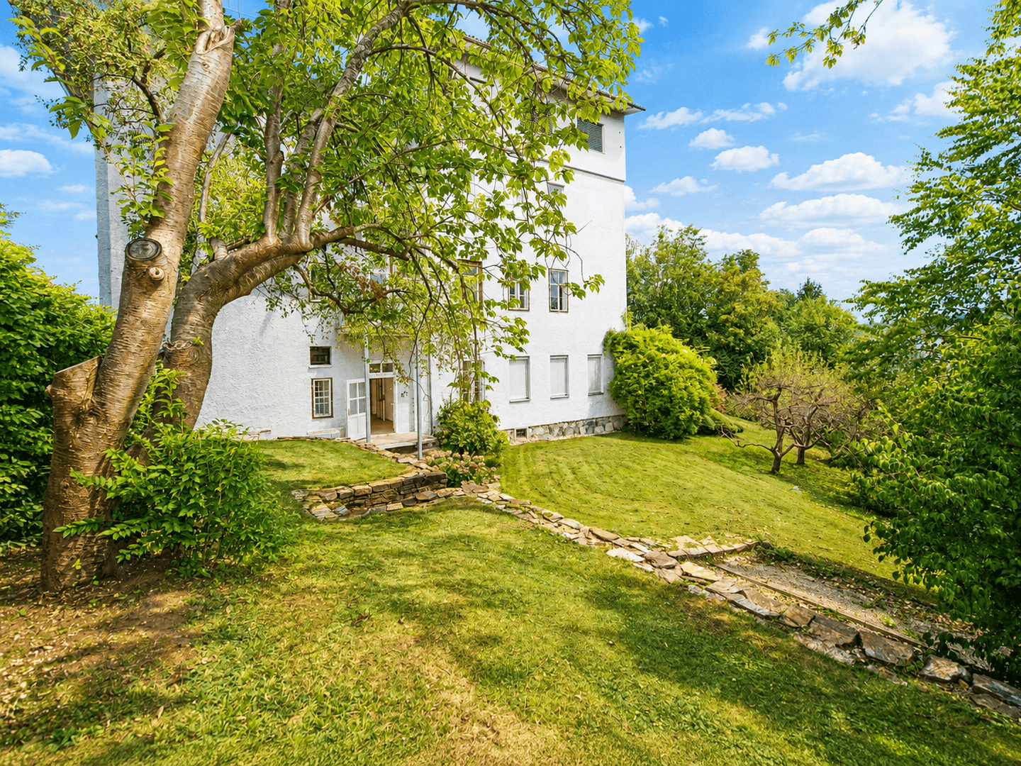 Weitläufiger Garten mit altem Baum und Blick auf die weiße Fassade des Gebäudes.