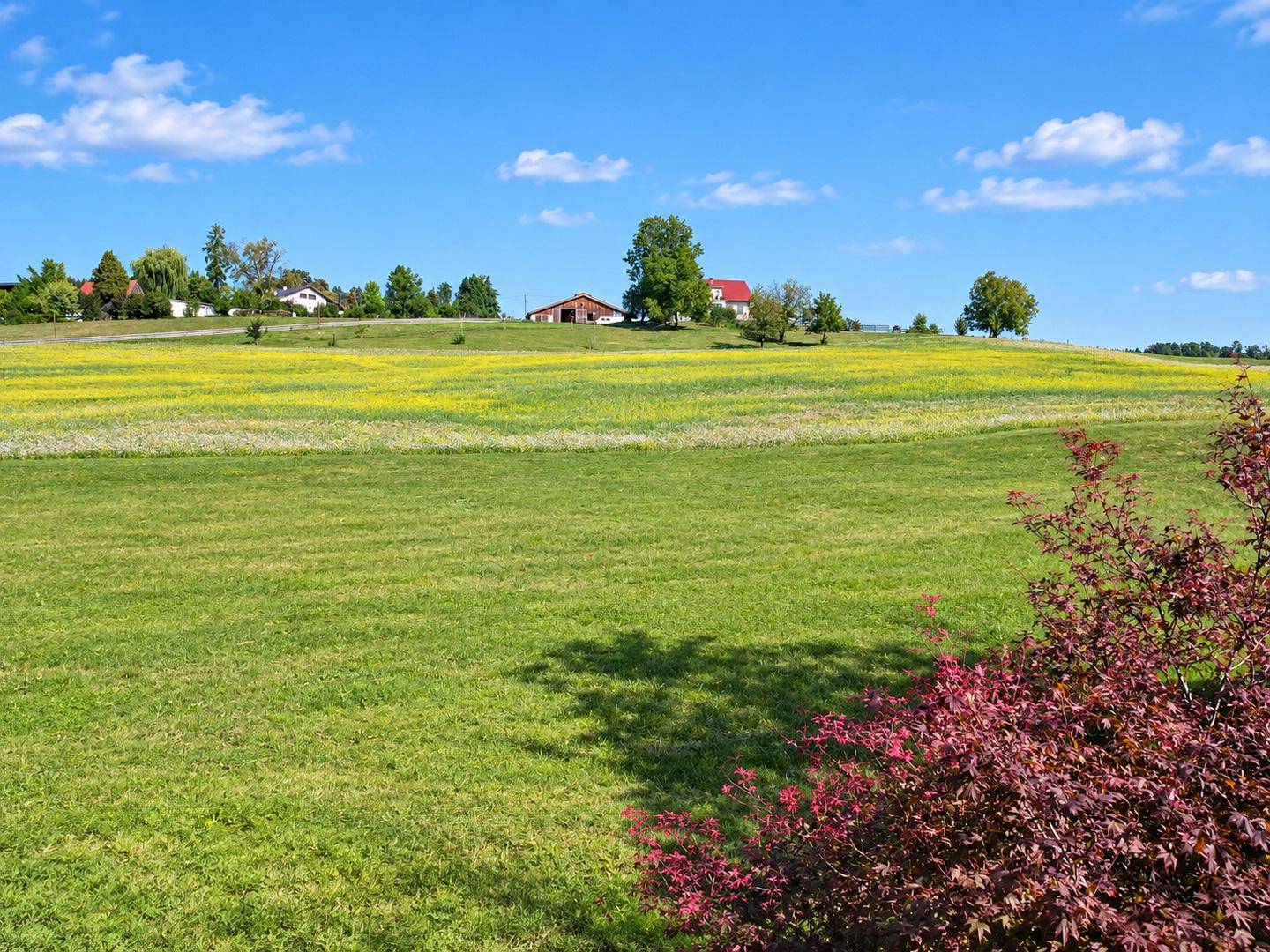 Panoramablick über weite grüne Wiesen und eine idyllische Landschaft unter blauem Himmel.