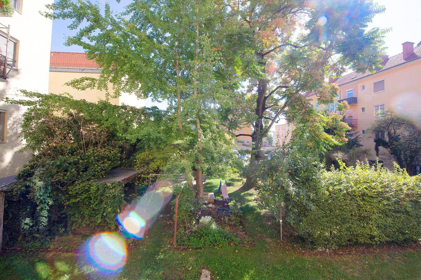 Grüner Gartenbereich mit Bäumen und Sträuchern, umgeben von Wohngebäuden unter hellem Sonnenlicht.