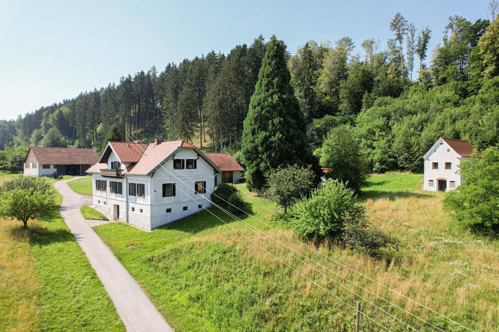 Anwesen mit mehreren Gebäuden in einer hügeligen Landschaft mit Wald im Hintergrund.