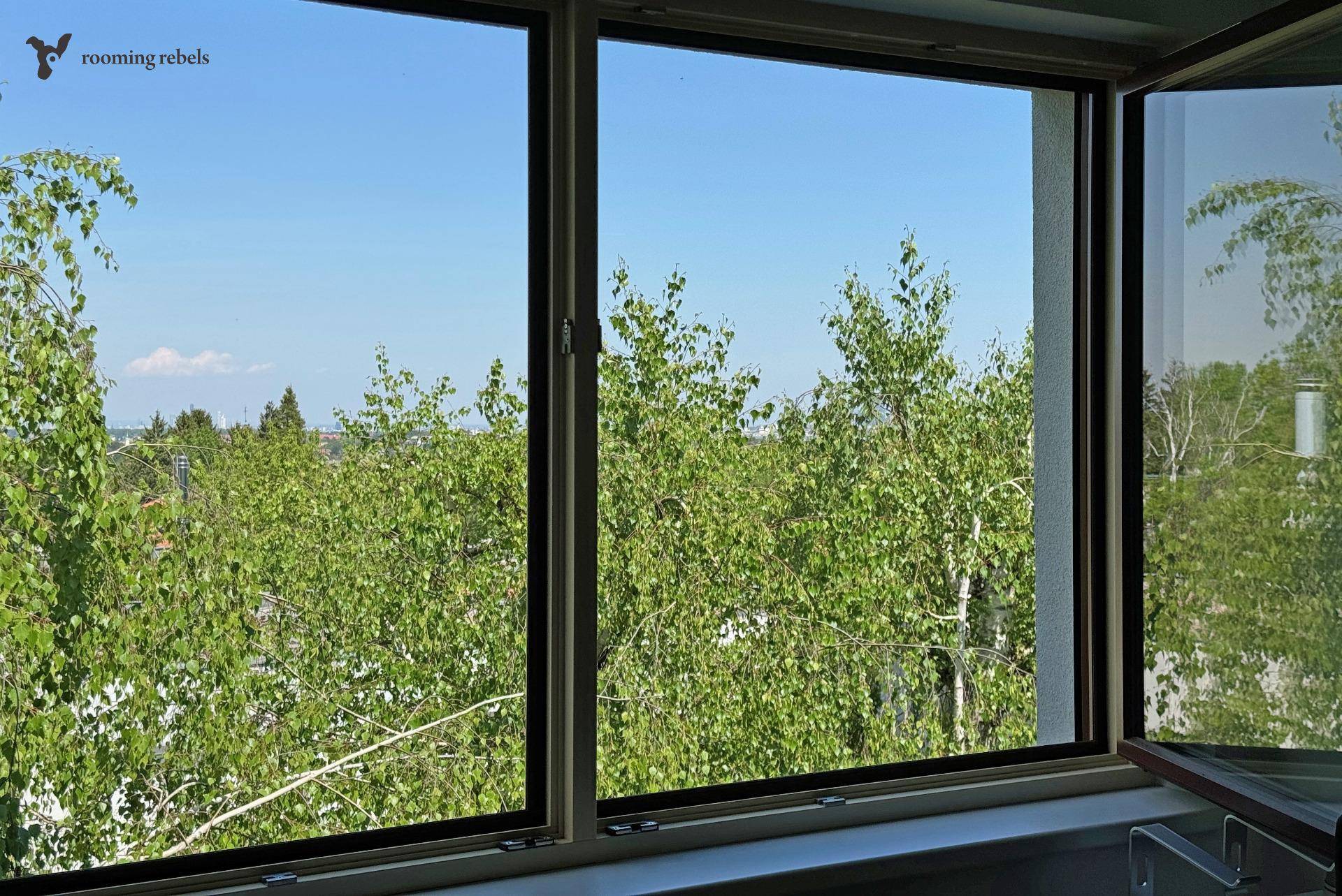 ARBEITSZIMMERBLICK.jpg
