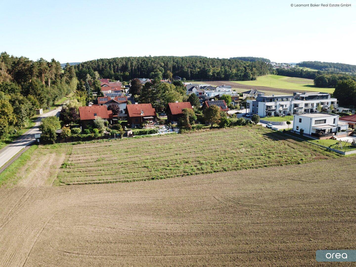 Luftaufnahme eines Wohngebiets mit Feldern, Wald und Einfamilienhäusern unter blauem Himmel.