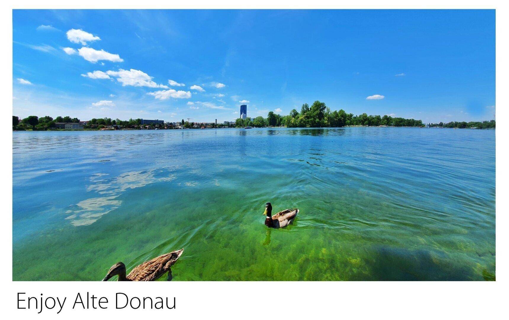 Enjoy Alte Donau